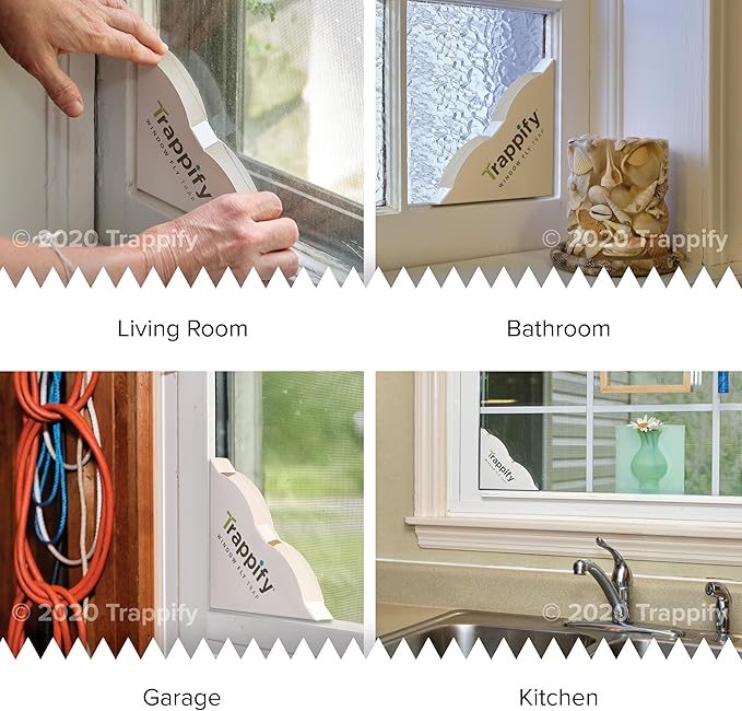 Trappify Fly Trap Indoor: Window Fly Traps for Home | Fruit Fly Traps for Indoors, Gnat Traps for House Indoor | Disposable Fly Trap with Sticky Adhesive Strips | Inside Bug Catchers (8 Pack)