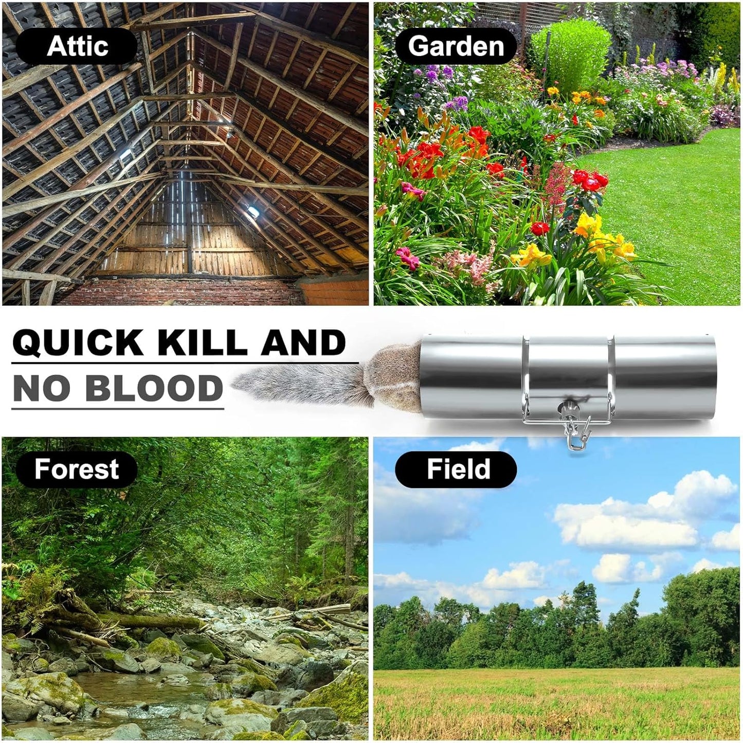 Qualirey Stainless Steel Tube Squirrel Trap Rust Resistant Trap 4.5'' in Diameter with a Setting Tong for Backyards Patios Gardens, Safe and Effective Pest Control Commercial and Residential Use 15''