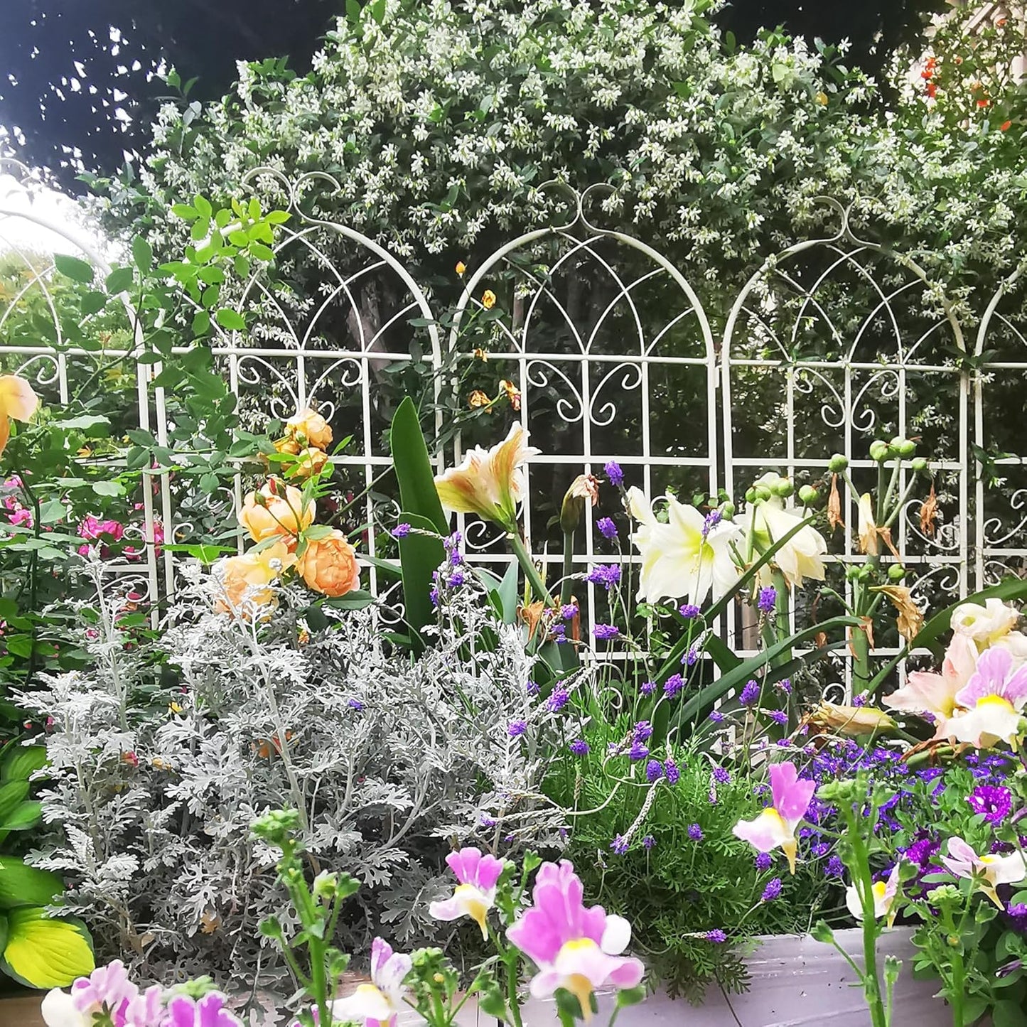 Metal Garden Trellis Rustproof Trellis for Climbing Plants Outdoor Flower Support Butterfly Deco (Cream White-4 Pack, 71"x19.7")