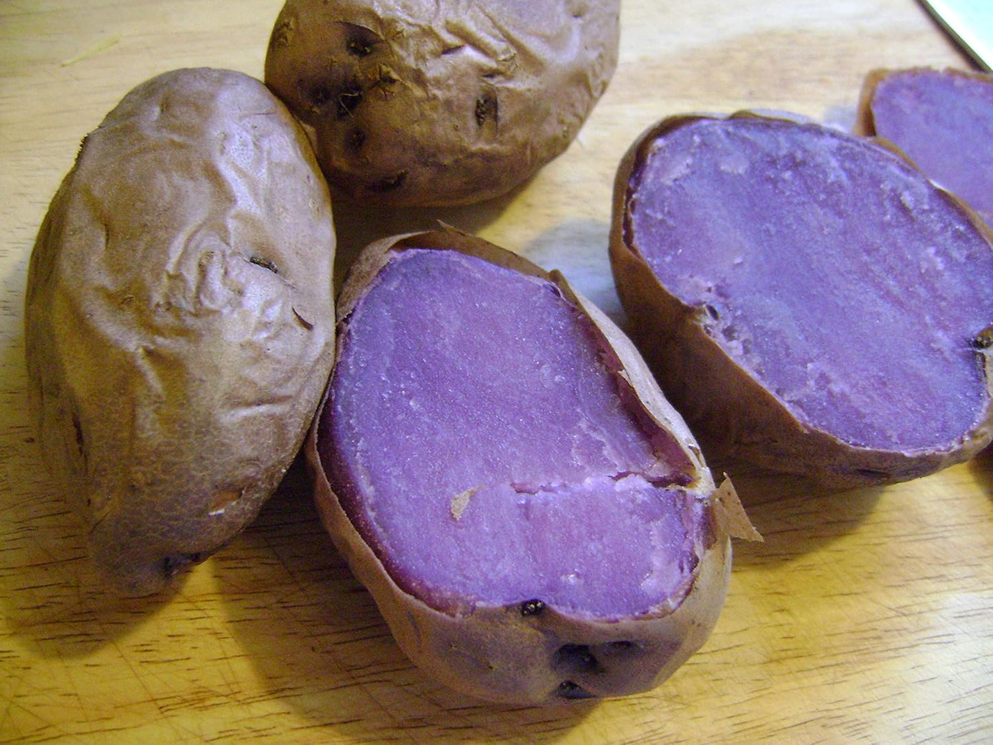 2 Lbs Adirondack Blue Seed Potatoes - USA Non-GMO Certified Potato TUBERS