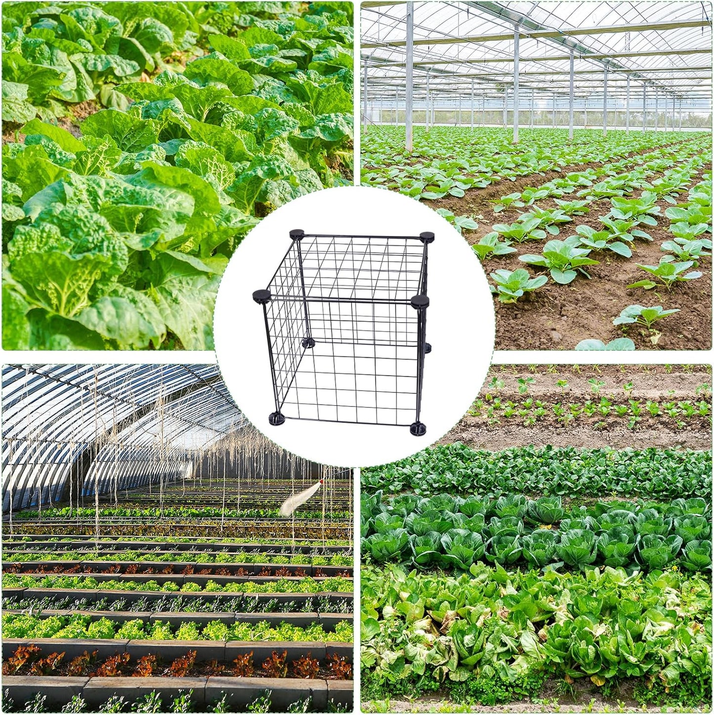 Generic 4 Set Wire Plant Covers Plant Protectors from Animals,20 Pcs 12""X12"" Chicken Garden Cloches for Plants Metal Meshes for Protect Plants Vegetables,Keeping Bunny Animals Out, Black