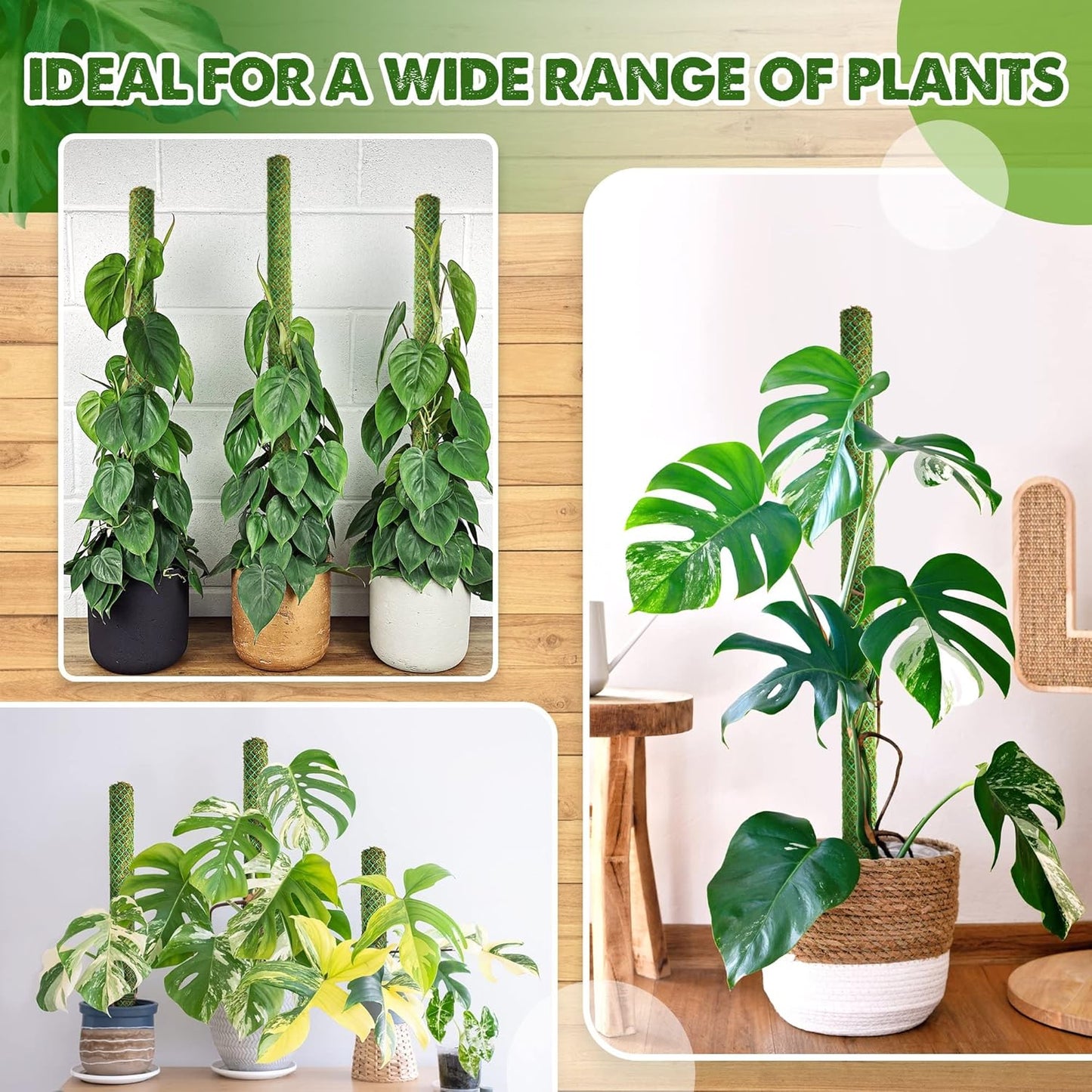 DUSPRO 10Pcs 22'' Green Stackable Mesh Moss Pole for Plants Climbing Vine Supporting Monstera Trellis, for Indoor Plants Extendable Plant Pole Moss Sticks, for Potted Plant Stakes