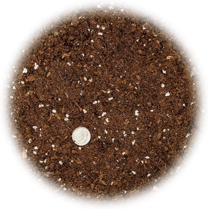 GARDENERA Money Tree Potting Soil - 10 Quart - Soil Mix for Planting or Repotting Guiana Chestnut, Blended Mix to Properly Grow Money Tree Plants (4 Bags of 5 Quart)