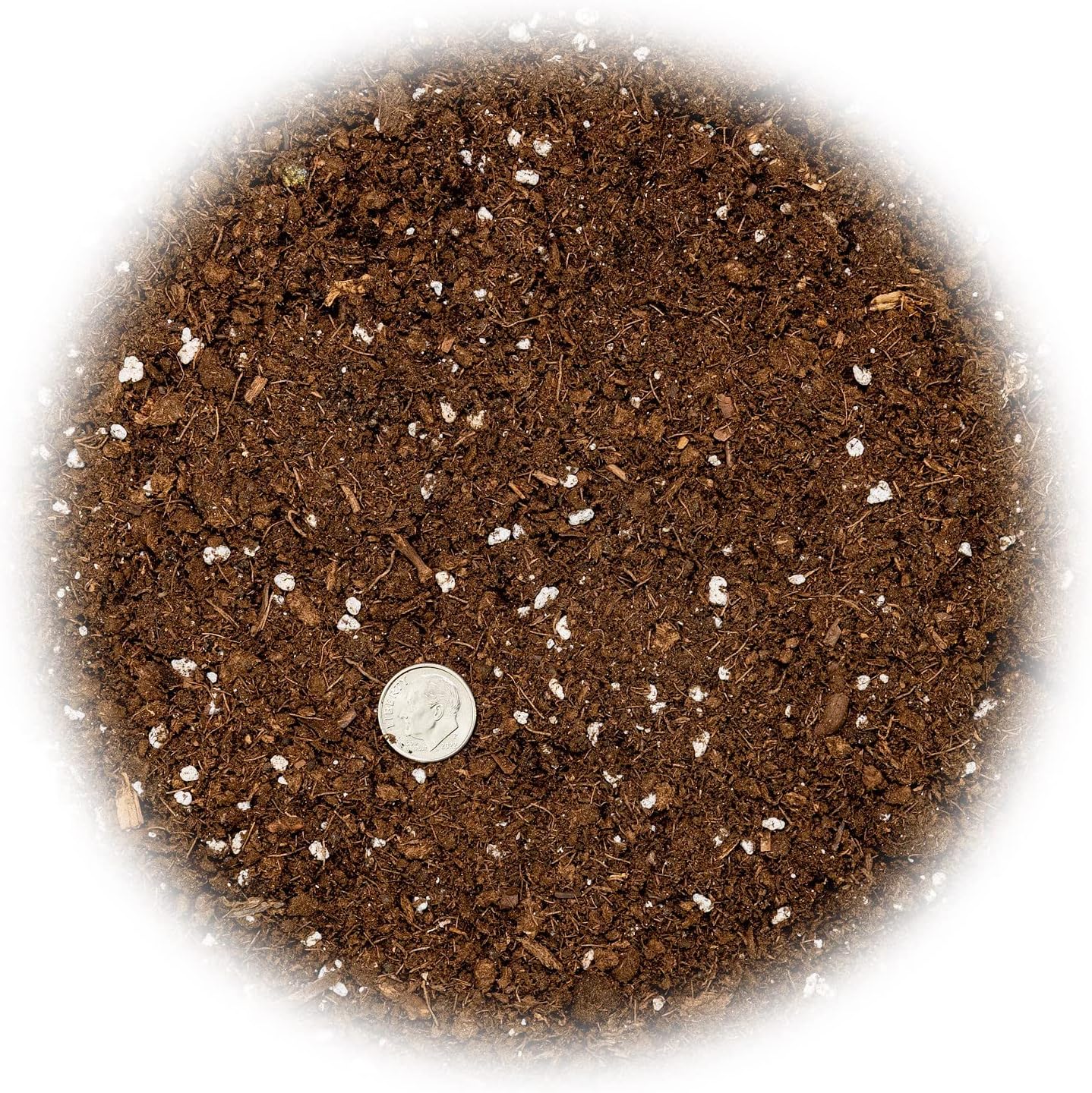 GARDENERA Money Tree Potting Soil Mix for Planting or Repotting Guiana Chestnut, Soil Blended to Properly Grow Money Tree Plants (3 Quart Bag)