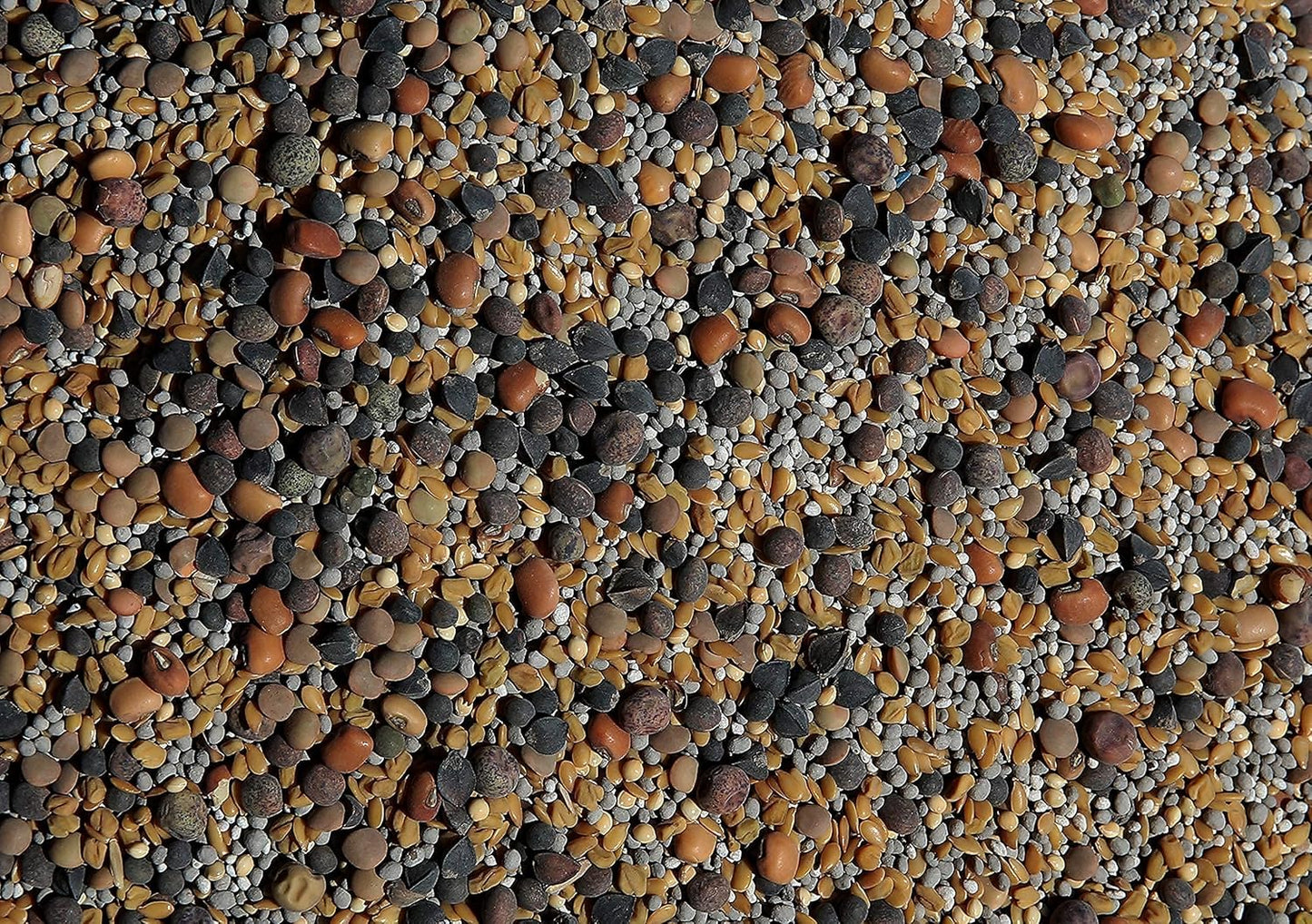 No-Till Cover Crop 13-Seed Mix (½-lb): [50% Clovers Plus Fenugreek, Vetch, Flax, Cowpeas, Buckwheat, Forage Peas, Millet, Lentils, Crimson Clover, Sweet Yellow Clover, White Clover, Medium Red Clover]