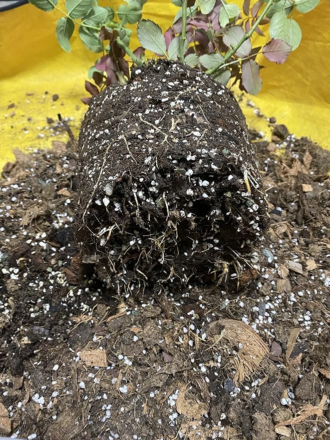 Voulosimi Horticultural Organic Perlite Soil Amendment for Plants and Enhanced Drainage Enhanced,Indoor & Outdoo (15QT, 3/8 inch)