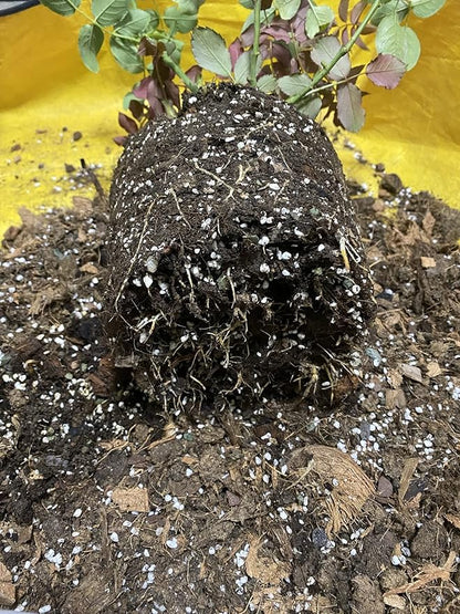 Voulosimi Horticultural Organic Perlite Soil Amendment for Plants and Enhanced Drainage Enhanced,Indoor & Outdoo (15QT, 3/8 inch)