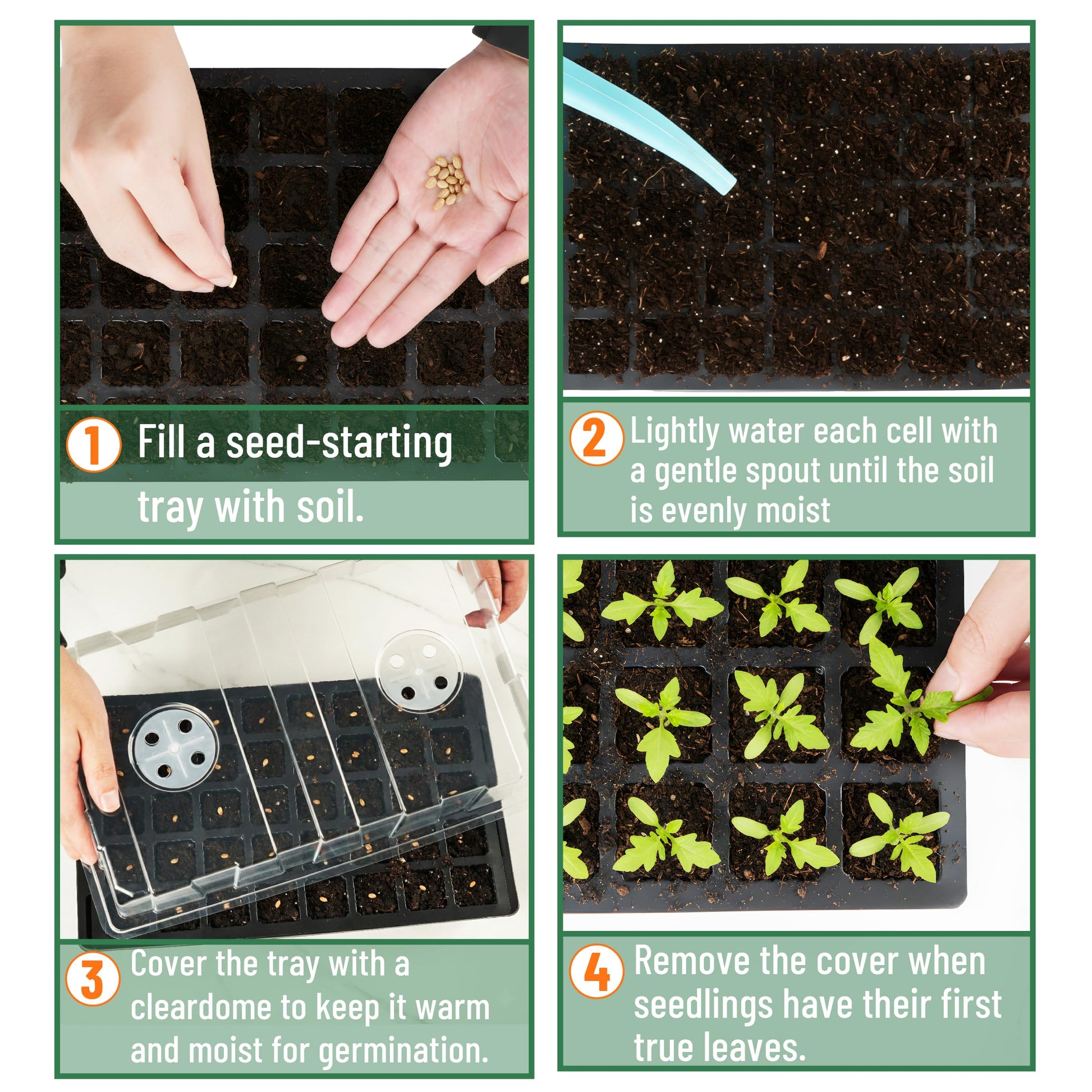 Mr. Pen- Seed Starter Tray Kits, 10 Pack, Total 400 Cells