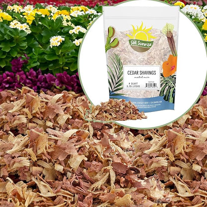 Natural Cedar Shavings Mulch/Bedding (4 Quarts), Garden Mulch and Small Animal Pet Bedding