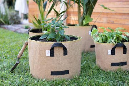 Grow Bags: 5-Pack (Size: 20 Gallon): Thick Jute Material + Inside Felt Fabric Liner, w/Yellow Stitch. Very Biodegradable and eco-Friendly Material. (Handles + Dumping Handles-pat.Pend).