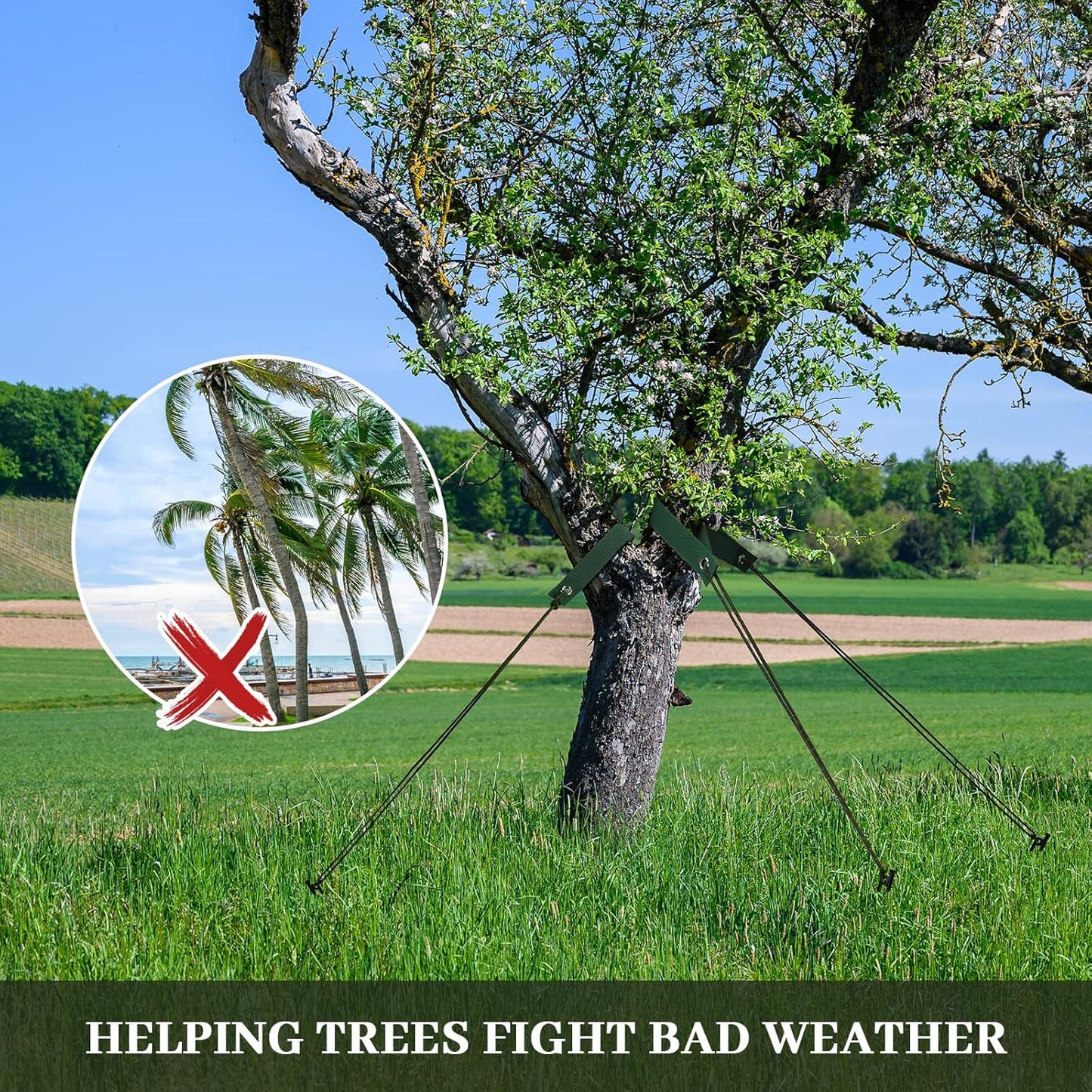 6 Packs Tree Stakes - Heavy Duty Steel Tree Stake Straightening Kit, Tree Stakes and Supports for Young Trees, 6PCS Steel Tree Stake, 6PCS Tree Straps, 31.2Ft Ropes