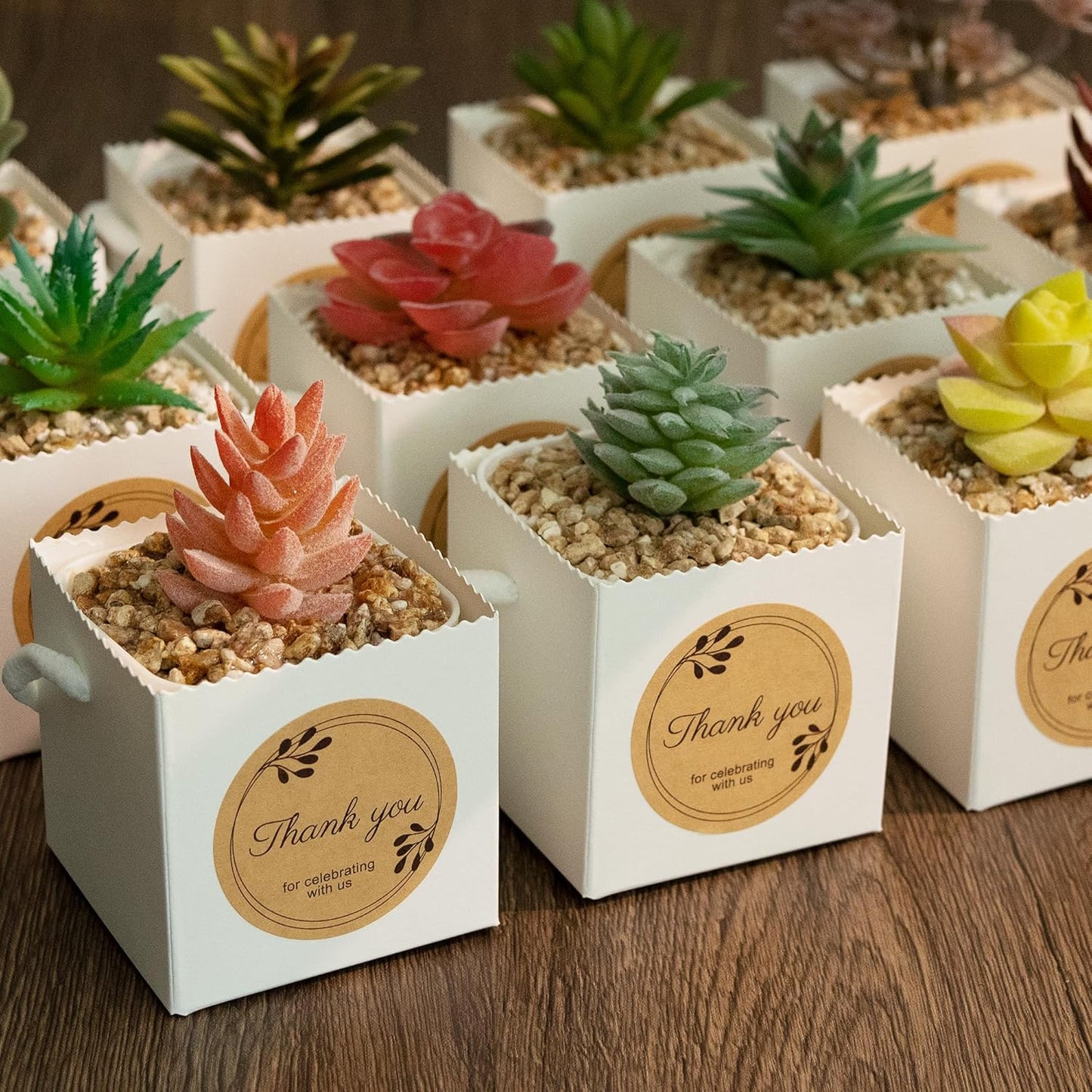 Temlum 2.5 Inch Succulent Wrap Bags (Fits 2.5″ Pots) with Thank You & Let Love Grow Stickers, Small Gift Box for Wedding, Baby Shower, Succulent Party Favors for Guests (White 100pcs)