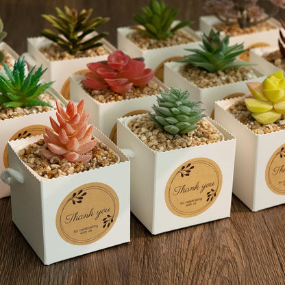 Temlum 2.5 Inch Succulent Wrap Bags (Fits 2.5″ Pots) with Thank You & Let Love Grow Stickers, Small Gift Box for Wedding, Baby Shower, Succulent Party Favors for Guests (White 100pcs)
