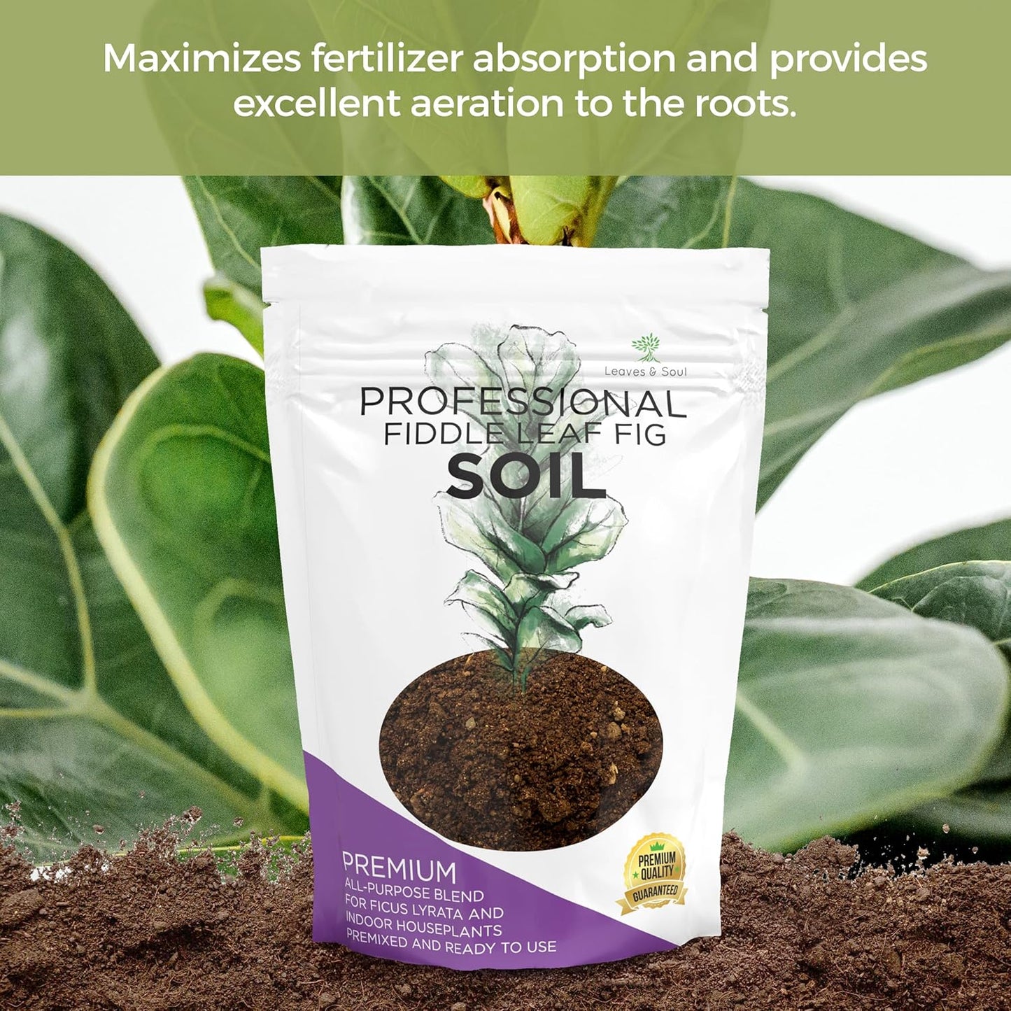 Fiddle Leaf Fig House Plant Soil Premium All Purpose Blend | Large 2.2 Quarts | Ready to Use for Indoor Houseplants | Peat, Sawdust, Course Sand and Pinebark | Made in USA