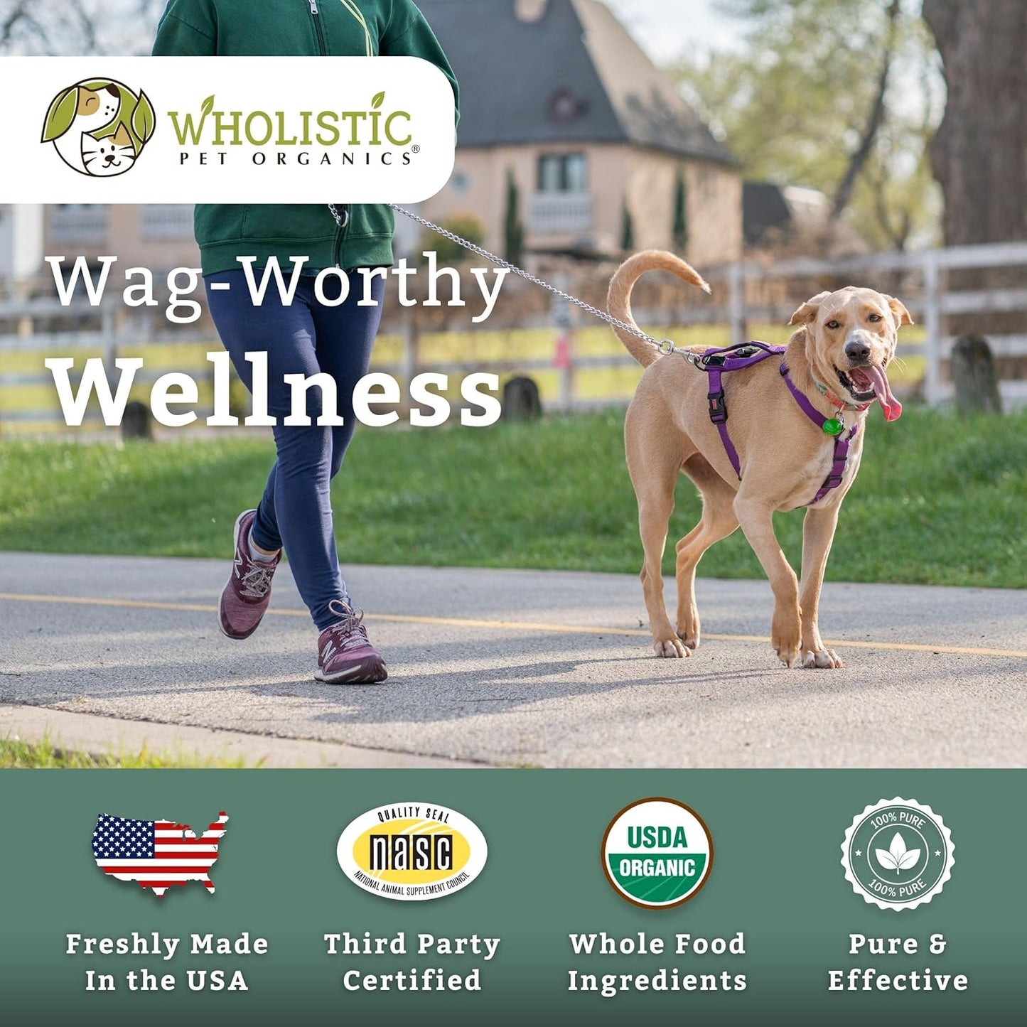 Wholistic Pet Organics Canine Complete - Dog Multivitamin Powder - 2 Lb - Daily Dog Vitamins and Supplements for Homemade Food - Immune System, Skin, Coat & Overall Health - Small and Large Breed