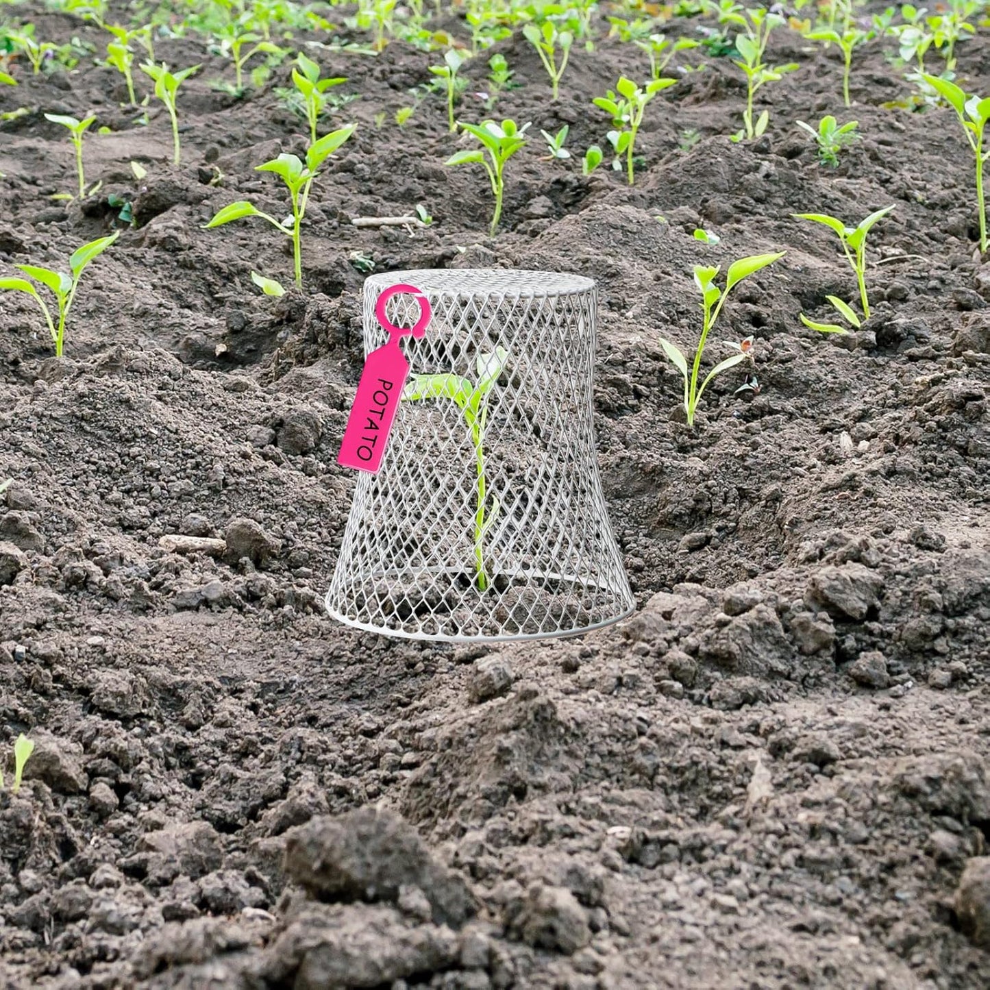 40 Pcs 8 inch Chicken Wire Plant Covers,Wire Garden Cloches Chicken Wire Cloche Plant Protector Metal Heavy Duty Garden Plant Cloche for Keeping Bunnies Chicken Squirrels Birds Other Out