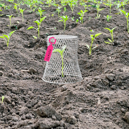 40 Pcs 8 inch Chicken Wire Plant Covers,Wire Garden Cloches Chicken Wire Cloche Plant Protector Metal Heavy Duty Garden Plant Cloche for Keeping Bunnies Chicken Squirrels Birds Other Out