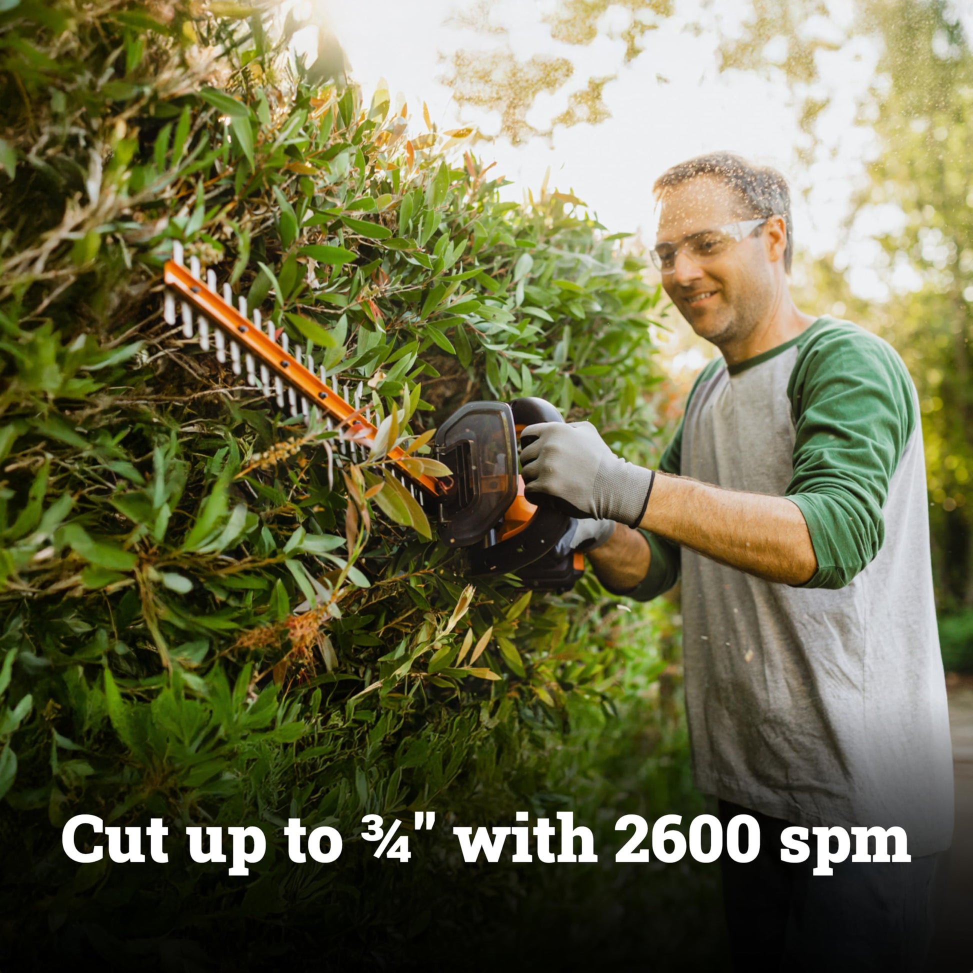 WORX 22" Cordless Hedge Trimmer, Electric Hedge Trimmer with Dual-Action Blades, Lightweight Bush