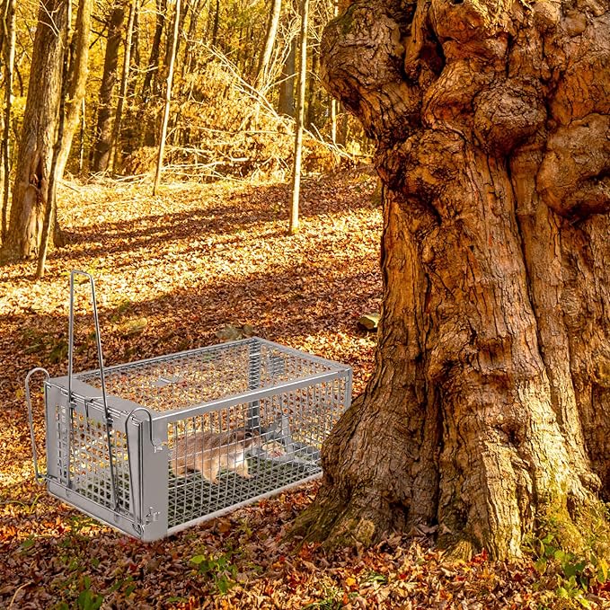 Moclever Humane Rat Trap – Live Catch & Release Mouse Trap for Indoor & Outdoor Use | No-Kill Metal Cage for Chipmunks, Small Rats, Voles, Hamsters | Durable & Reusable Rodent Trap