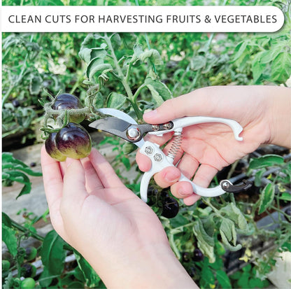 Bypass Pruning Shears Hand Pruner Garden Trimming Scissors Plant Trimmers Herb Snips Flower Clippers Ergonomic Handle Modern Garden Tools