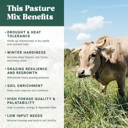 Nature's Seed Northern/Transitional Dairy Cow and Cattle Forage Mix, Pasture Grass Seed Blend, Protein-Rich, Cold-Hardy, 10 lbs