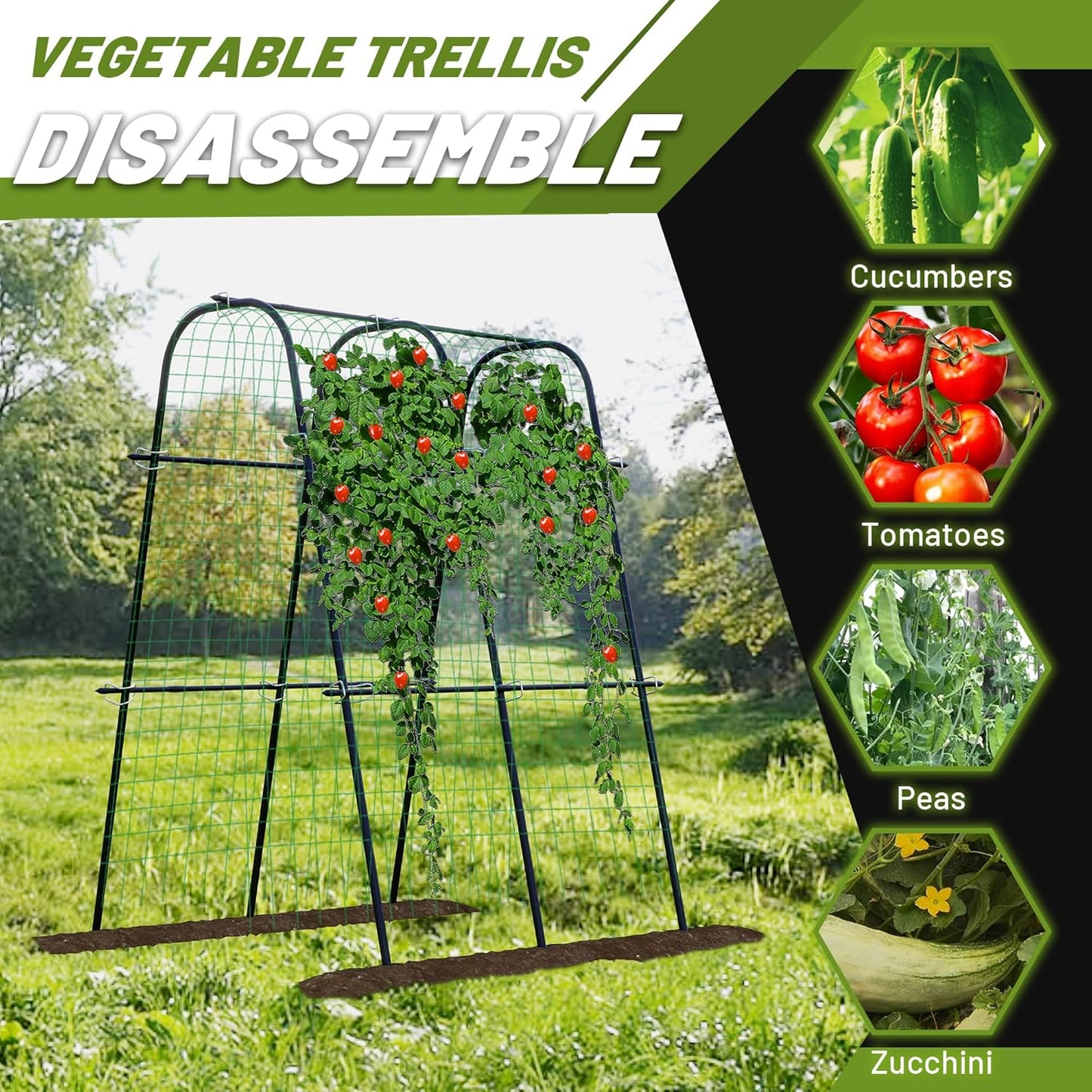 Extra Tall Metal Arch Trellis, 71X71 inch U-Shape Garden Trellis with Netting, Rust-Resistant PE Coated Steel Cucumber Trellis for Raised Bed, Vegetables, Fruits, Beans, Black