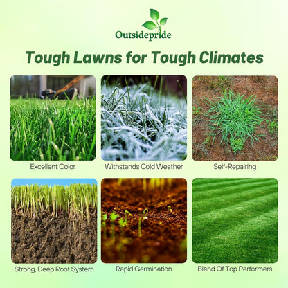 Outsidepride Combat Extreme Northern Zone - 25 Lbs Cold-Hardy, Drought-Resistant Turf Type Tall Fescue & Kentucky Bluegrass Lawn Grass Seed Blend, OptiGrowth Coated for Better Establishment