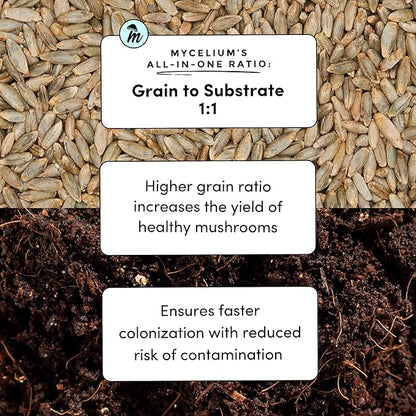 Mycelium's Superior Dung-Loving Mushroom Substrate Rye Berries Grain 5 LB All-in-One Bag – Organic Coco Coir, Vermiculite & Gypsum Formula, Pre-Sterilized & Ready for Easy Home Cultivation