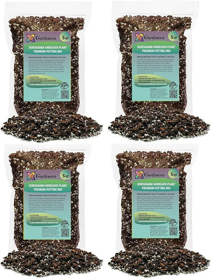 Premium Monstera Borsigiana Soil Mix - Trusted by Experts for Strong and Healthy Plants by Gardenera - 20 Quart (4 Bags of 5 Quart)