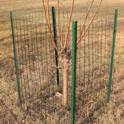 Black PVC Coated Welded Wire Fence 48 Inch x 50 Foot, 2 Inch x 3 Inch 16GA, Garden Border Fencing Roll Vinyl Coating Metal Wire Mesh for Yard Vegetable Plant Protection Poultry Netting