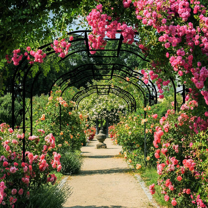 Metal Garden Arch 8.2 FT High x 6.2 FT Wide Garden Arbor Trellis for Outdoor Climbing Plants Support Rose Lawn Tall Large Wedding Archway (Black, XL)