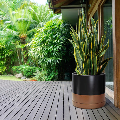 D'vine Dev 14 Inch Ceramic Planter Pot with Drainage Hole and Saucer, Indoor Cylinder Round Planter Pot, Black/Speckled Tan, 94-O-G-7