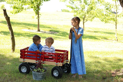 Berlin Flyer Sport Wagon - Model F410 - Amish Made in Ohio, USA - 10" No-Flat Tires (Blue)