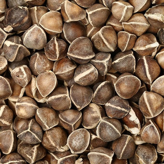 Moringa Seeds for Planting - 4 Oz ~440+ Seeds - Grow Moringa Seeds to Eat - Moringa Plant Tree Seedlings - Experience The Benefits of The Tree of Life, Moringa Oleifera