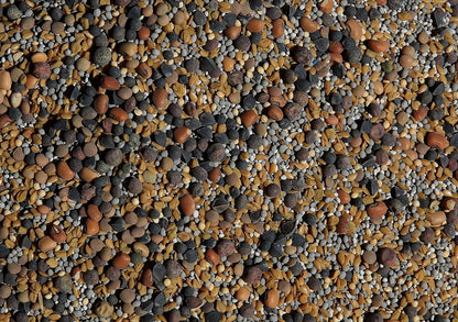 No-Till Cover Crop 13-Seed Mix: 50% Clovers Plus Fenugreek, Vetch, Flax, Cowpeas, Buckwheat, Forage Peas, Millet, Lentils (45-lb. Bag (Forty-Five Pound))