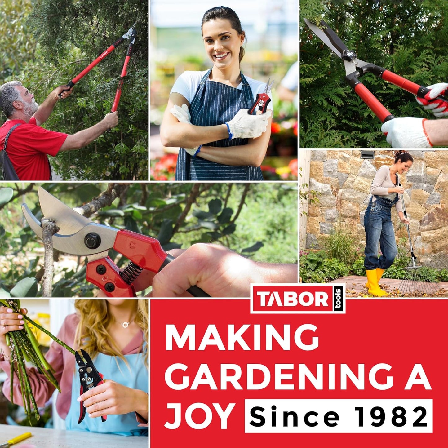 TABOR TOOLS GG21A Extendable Bypass Lopper with Compound Action, 27-40 Inch Telescopic Tree Trimmer, Long Handled Branch Cutter with ⌀ 1 1/2 Inch Cut Capacity, Makes Clean Neat Cuts.