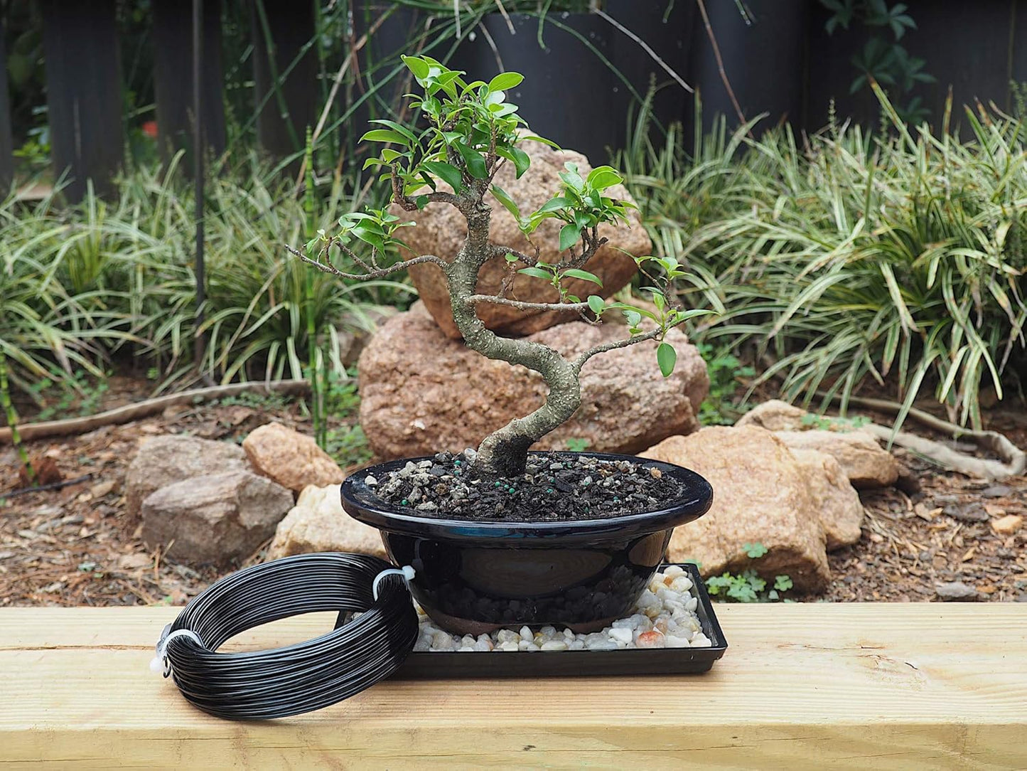 Anodized Aluminum 1.5mm Bonsai Training Wire 250g Large Roll (170 feet) - Choose Your Size and Color (1.5mm, Black)