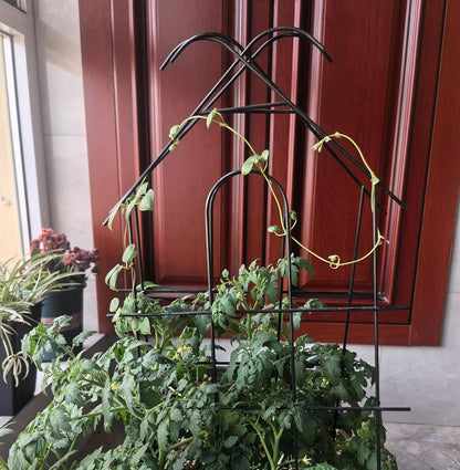 ARIFARO 24'' Metal Garden Trellis Indoor/Outdoor Sturdy Plant Trellis for Potted Plants,House Plants, Climbing Vines, Pack of 4, Black