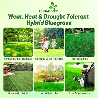 Outsidepride SPF-30 Hybrid Bluegrass Seeds - 5 lbs. Heat & Drought Tolerant, Texas Bluegrass & Kentucky Bluegrass Seed Mix for Challenging Climates, OptiGrowth Coated for Better Establishment