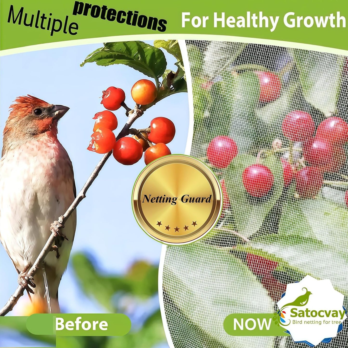 Fruit Tree Netting with Drawstring & Zipper 3 Pcs (6x7.2 FT), Bird Netting for Blueberry Bushes