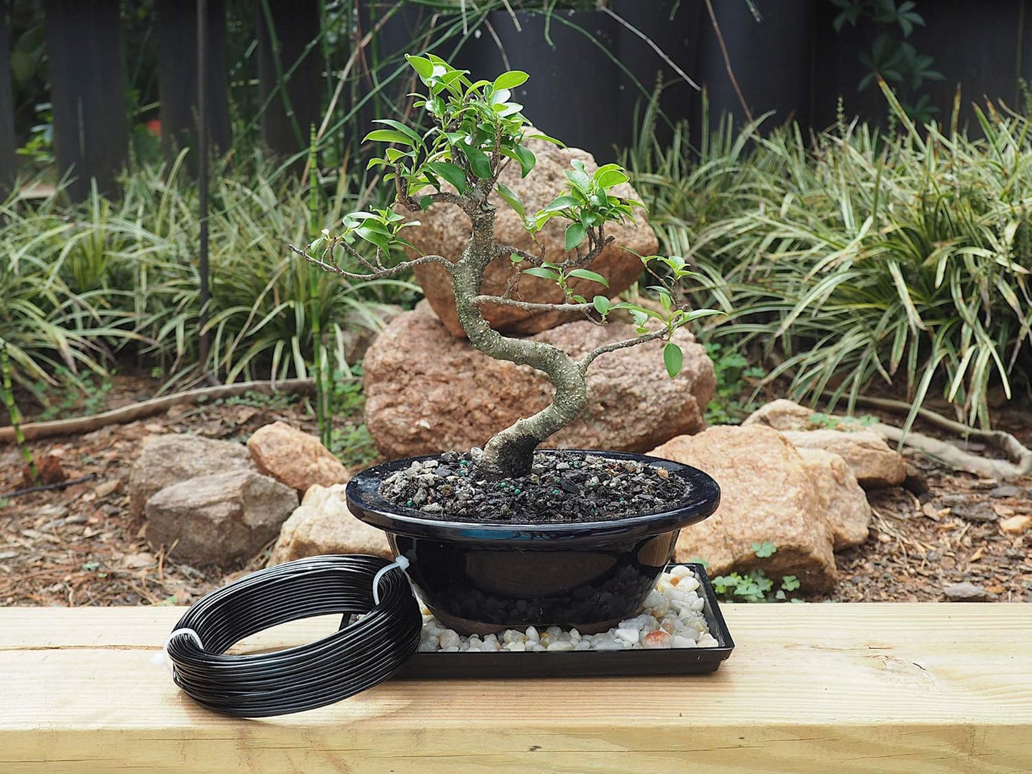 Anodized Aluminum 2.0mm Bonsai Training Wire 250g Large Roll (95 feet) - Choose Your Size and Color (2.0mm, Black)
