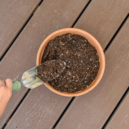 Philodendron Plant Potting Soil Mix (8 Quarts), Special Blend for Heart Shape Philodendron Plants Et Al.