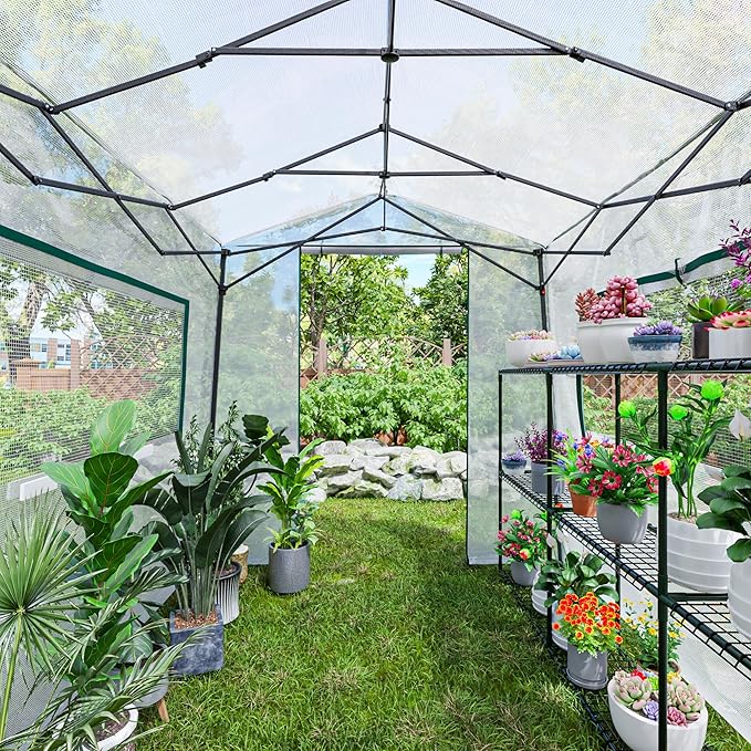 Joyside 8 x 6 FT Outdoor Pop up Greenhouse with Adjutable Reinforced Frame, Durable PE Cover and Mesh Windows, Portable Greenhouse for All Seasons, Easy Set Up (White, 8 x 6 FT)