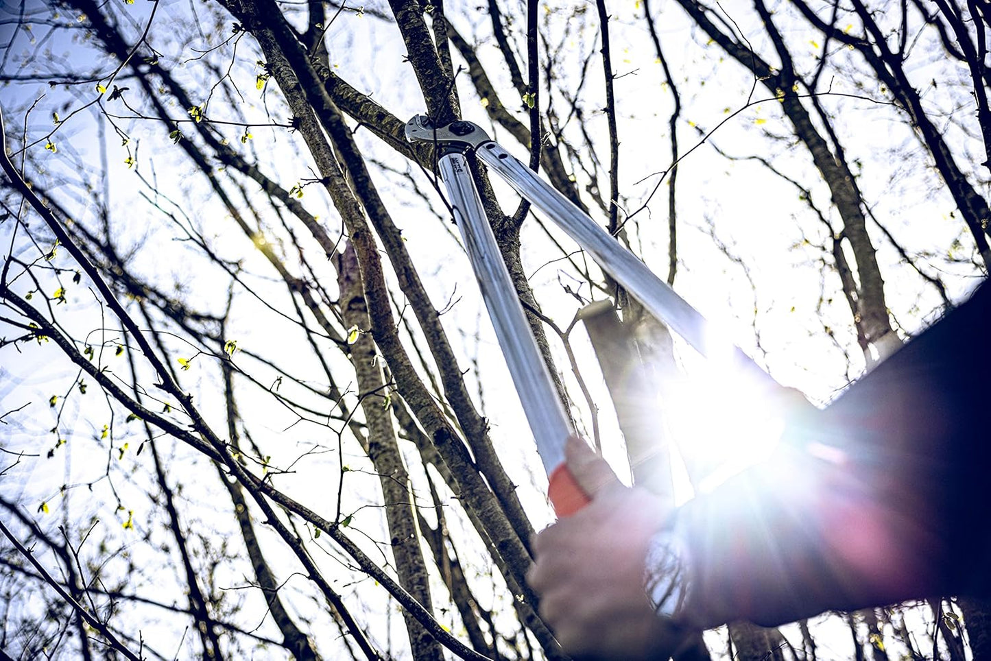 Original LÖWE Professional Anvil Lopper Garden Tools 22.080 | Use as Pruners, Garden Shears, Pruning Shears for Gardening | For cutting branches, twigs, trees & shrubs | 31.5 inches | Made in Germany