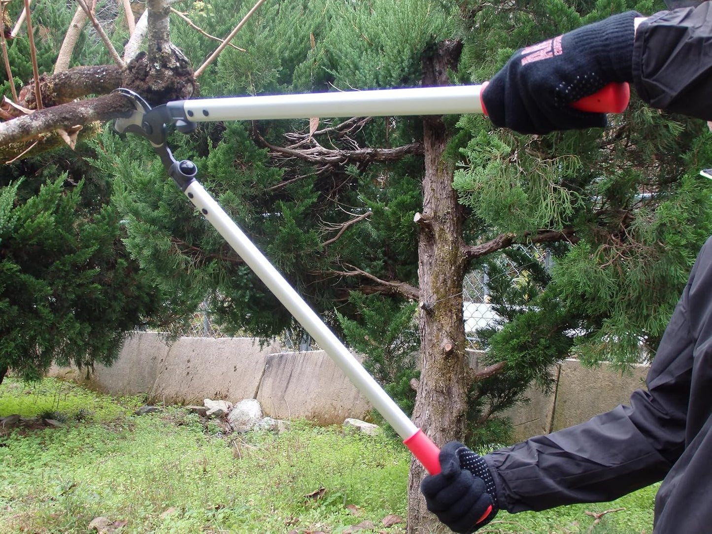 ARS LPB-30L Orchard Lopper