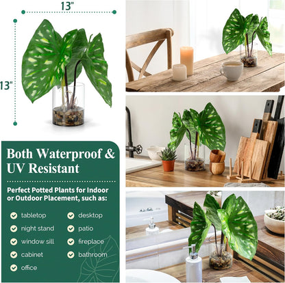 SUNPRAIRIE Tropical Artificial Plant in Clear Pot with Artificial Water, Wide Arrowhead Leaves. Faux Plants Indoor and Outdoor
