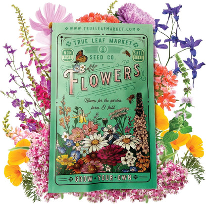 Pollinator Wildflower Seeds Bulk – 1 lb, 640,000+ Seeds – 23 Variety Mix for Hummingbirds & Butterflies – Non-GMO Annual & Perennial Flower Seed for Planting