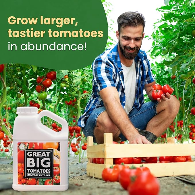 Great Big Tomatoes – Soil and Tomato Fertilizer Booster to Grow The Tastiest Tomatoes and Veggies; 1 Gallon Concentrate (Makes 32 Gallons)