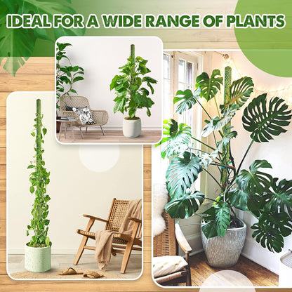 DUSPRO 10Pcs 22'' Green Stackable Mesh Moss Pole for Plants Climbing Vine Supporting Monstera Trellis, for Indoor Plants Extendable Plant Pole Moss Sticks, for Potted Plant Stakes