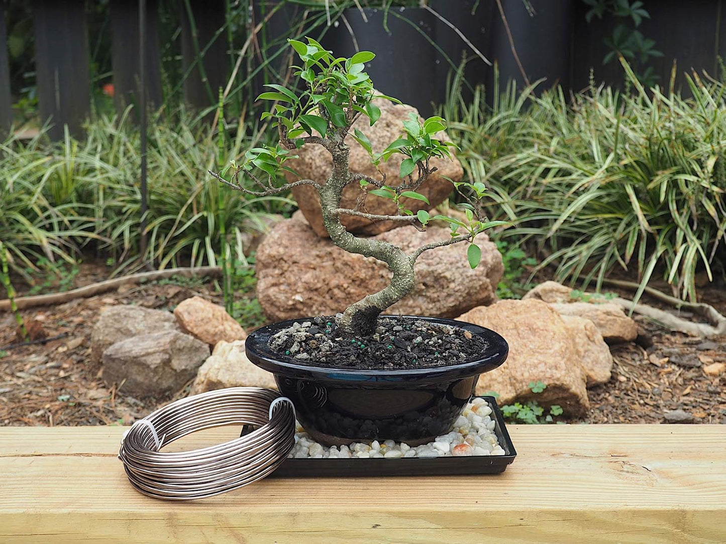 Anodized Aluminum 2.5mm Bonsai Training Wire 250g Large Roll (60 feet) - Choose Your Size and Color (2.5mm, Brown)